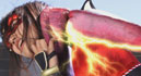 Burning Action Superheroine Chronicles Evil Ninja Hunt Kurenai005