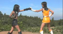 The Highlights of Sentai Series007