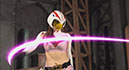 HEROINE Conquest Ninja Saint Corps Bird Crutcher Bird Sparrow001