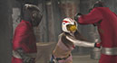 HEROINE Conquest Ninja Saint Corps Bird Crutcher Bird Sparrow005