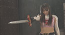 HEROINE Conquest Ninja Saint Corps Bird Crutcher Bird Sparrow030